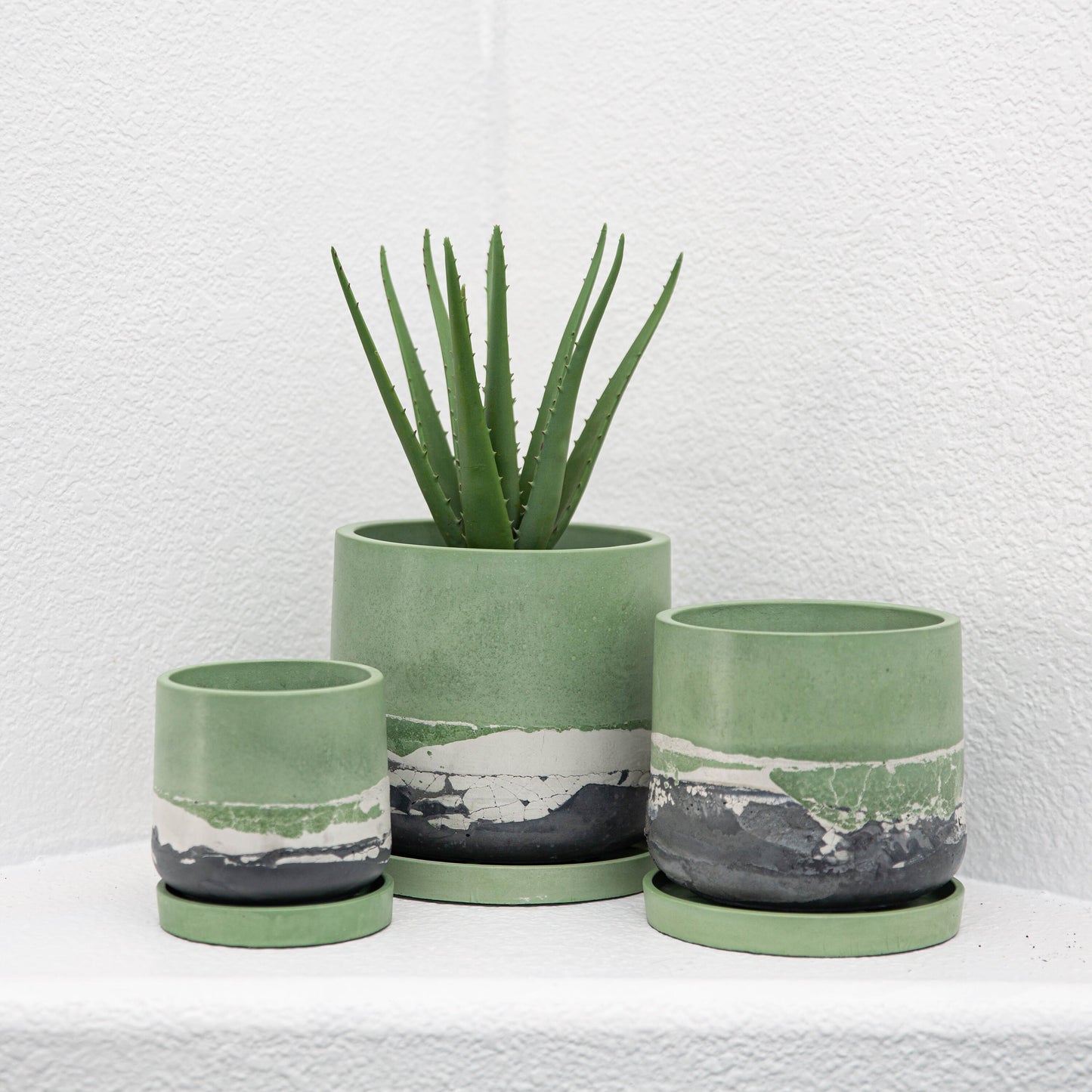 5 inch Plump Tulip Planter Silicone Mold with Casting Frame