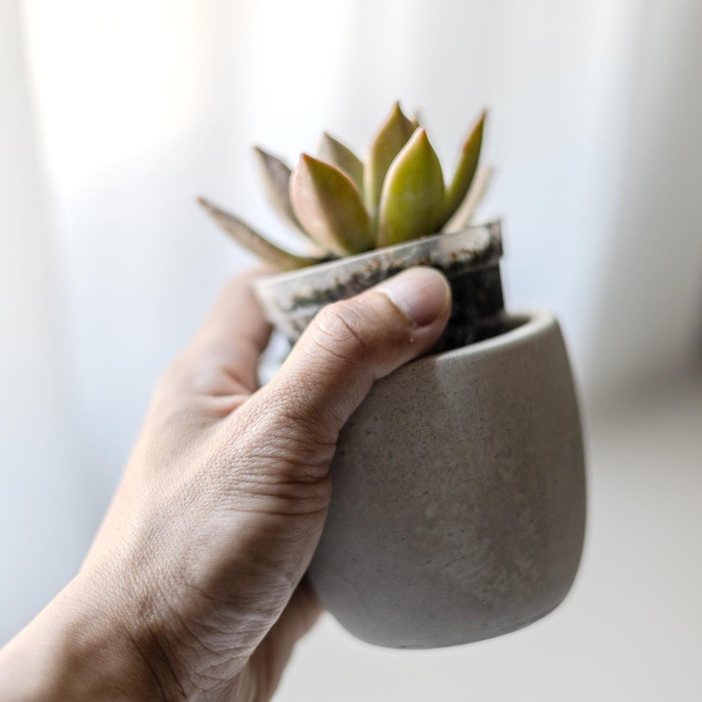 2.5 inch Planter Silicone Mold with Casting Frame