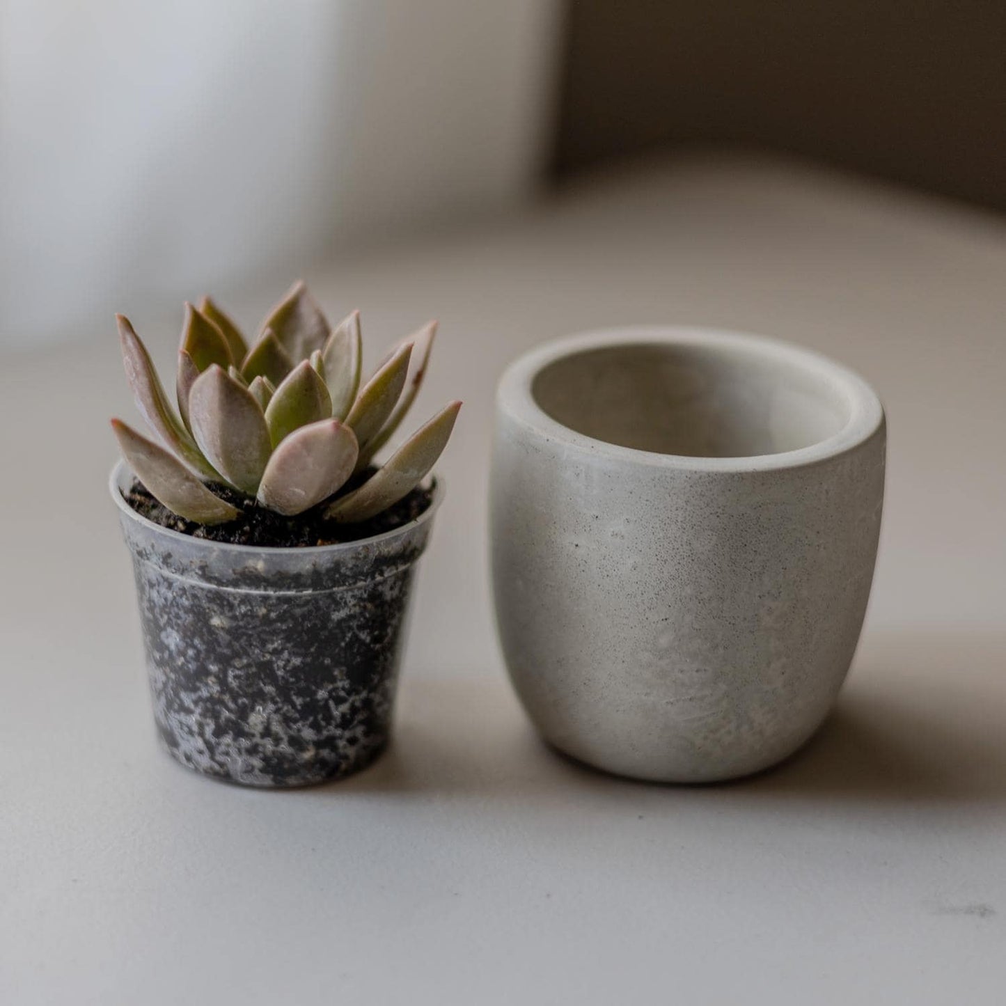 2.5 inch Planter Silicone Mold with Casting Frame