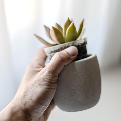2.5 inch Planter Silicone Mold with Casting Frame